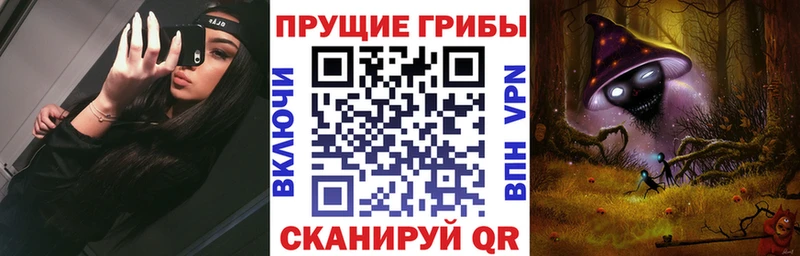 Купить  Среднеуральск  Галлюциногенные грибы мицелий 